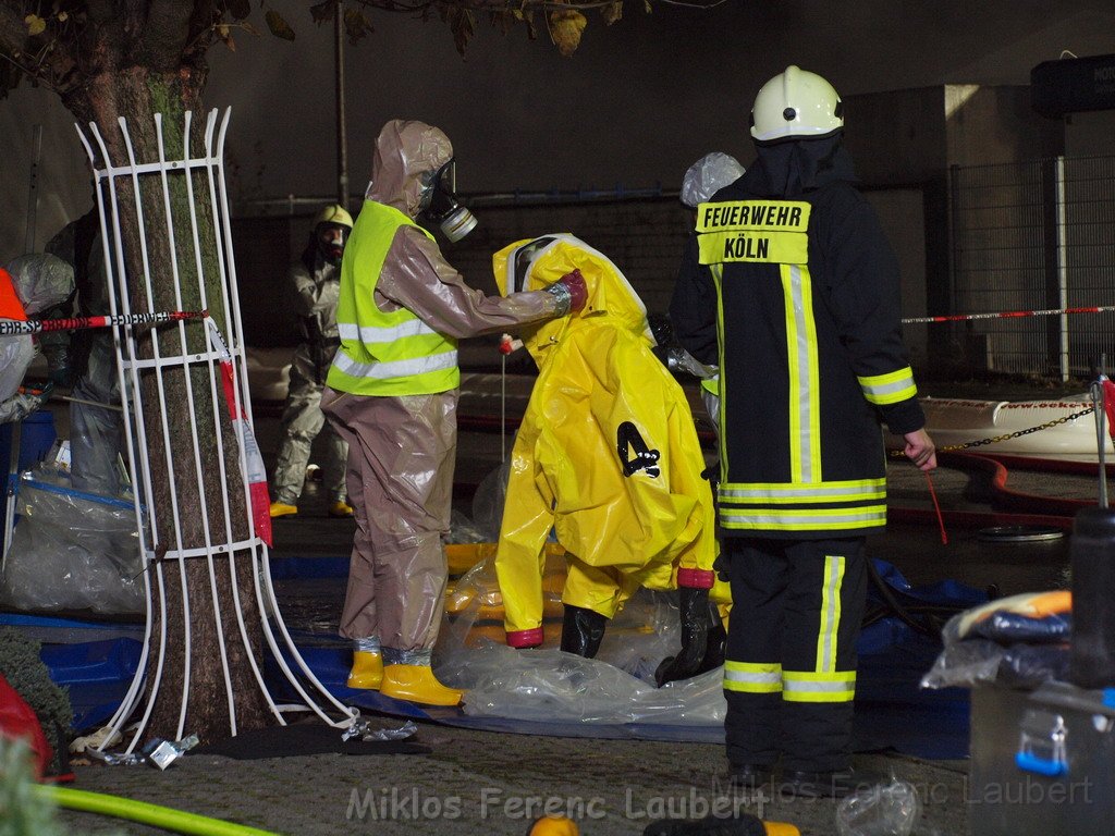 Saureaustritt Koeln Loevenich Daimlerstr P427.JPG